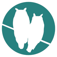 Morning Owls Logo